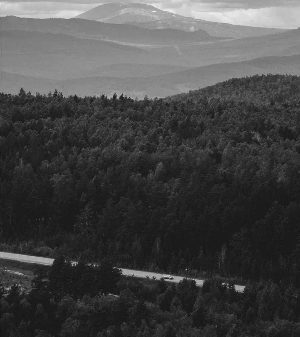 A black and white landscape capturing a road through majestic nature, reflecting SAMMI-TEUKDON's philosophy of respecting natural order. Black and white mountain landscape with dense forest, a road, and a small car.