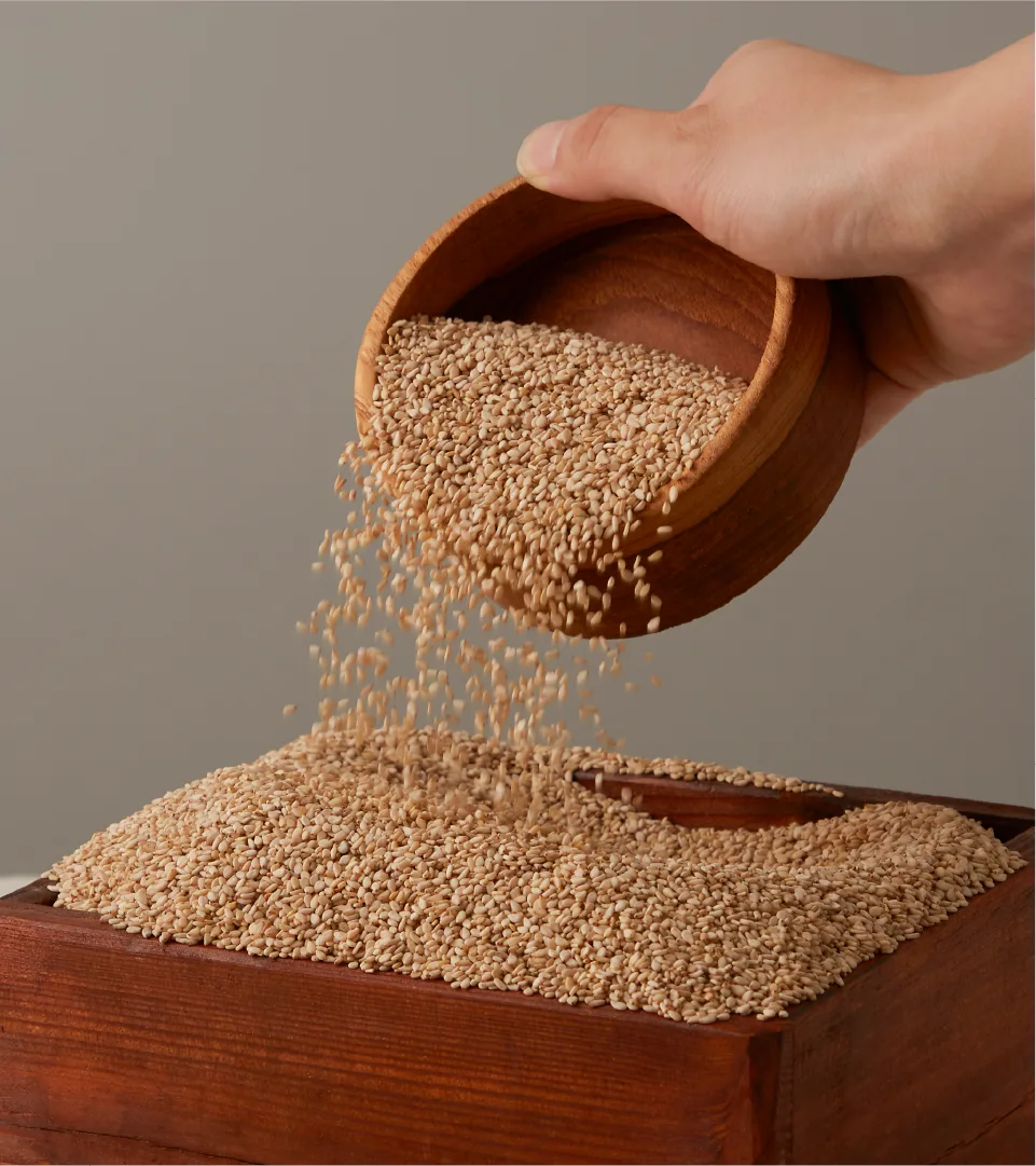 The precious ingredient of SESAM Oil House, sesame seeds. Capturing the moment fresh sesame is carefully handled by an artisan's touch. Close-up of a hand pouring sesame seeds from a wooden bowl into a wooden box.